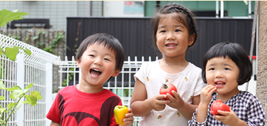 デイリープログラム